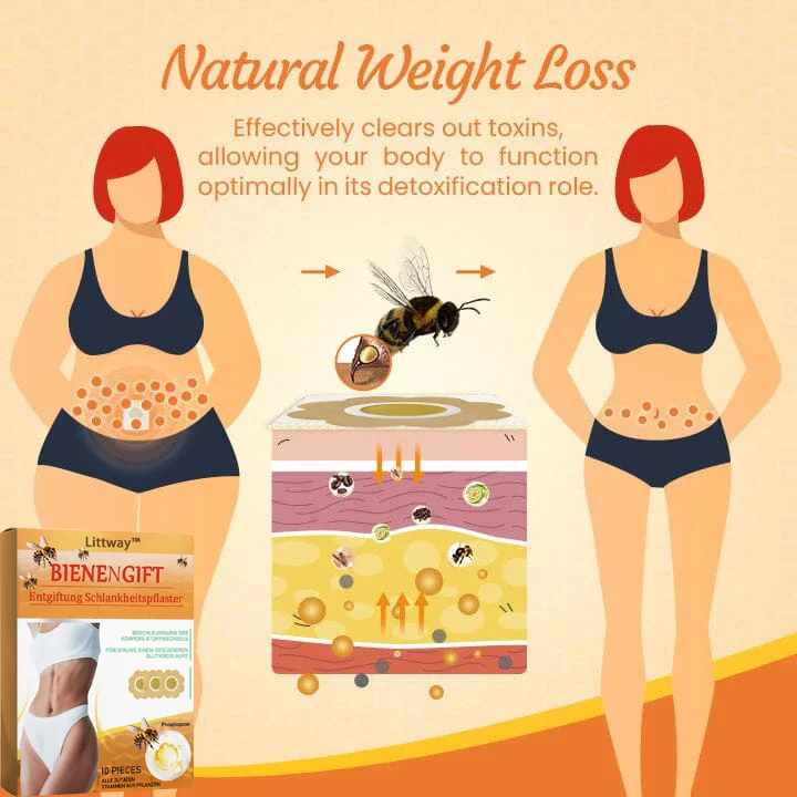 💥 2025 Limited 70% ️OFF🐝 - Littway™ BeeSlim Bee Venom Fat-Burning Patch