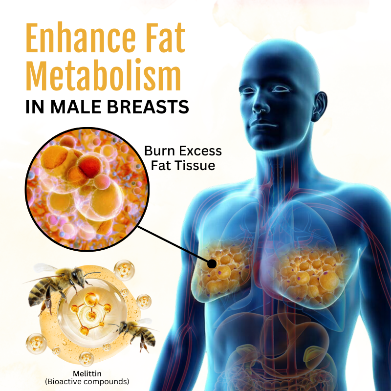 ✨✨LITTWAY™ ThermoFirm Bees Gynecomastia Oil