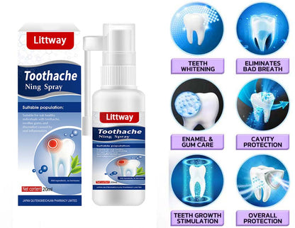 🦷 Harvard Dental Breakthrough for Tooth Pain, Whitening & Regeneration