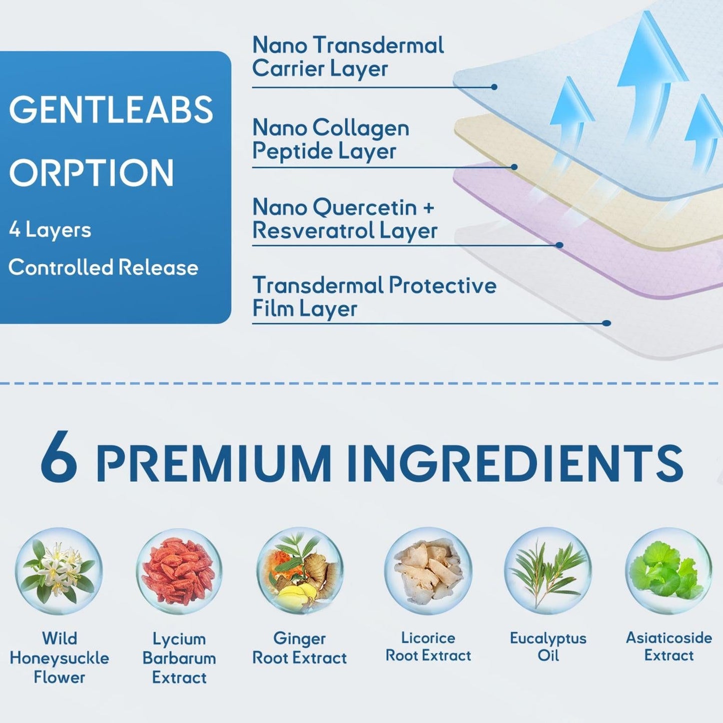 ✅FDA Approved LITTWAY™ DoubleNano COPD Relief Patch (💝 Cough, wheezing, shortness of breath, sputum, stuffy nose, bronchitis, bronchitis, allergy symptoms, lung discomfort)